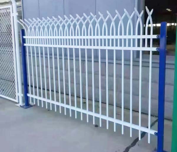 �½��\��o��